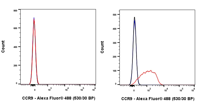 Flow Cytometry - Anti-CCR9 antibody [EPR26524-59] (AB313773)