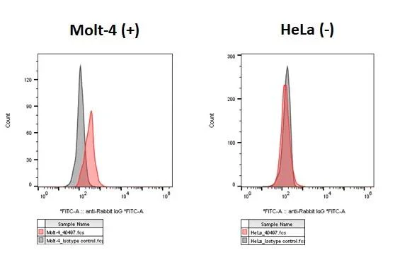 Flow Cytometry - Anti-CCR9 antibody [HL3054] - BSA and Azide free (AB325844)