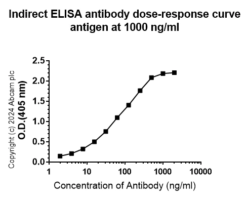 Indirect ELISA - Anti-CCXCR1/XCR1 antibody [CIA207A] - BSA and Azide free (AB317579)