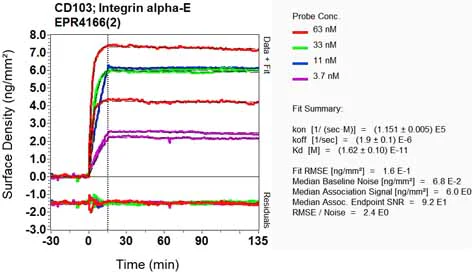 OI-RD Scanning - Anti-CD103 antibody [EPR4166(2)] (AB129202)