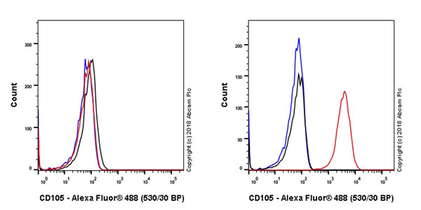 Flow Cytometry - Anti-CD105 antibody [EPR21846] (AB221675), expandable thumbnail
