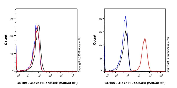 Flow Cytometry - Anti-CD105 antibody [EPR21846] (AB221675)