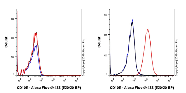 Flow Cytometry - Anti-CD105 antibody [EPR22811-18] - BSA and Azide free (AB256146), expandable thumbnail