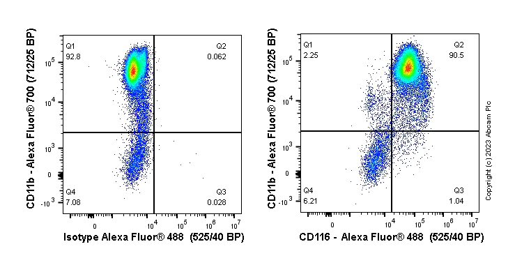 Flow Cytometry - Anti-CD116 antibody [EPR24554-26] - BSA and Azide free (AB280956)