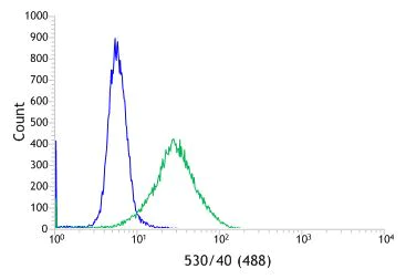 Flow Cytometry - Anti-CD11b antibody [SP330] - BSA and Azide free (AB241408)