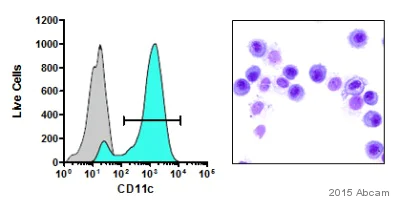Flow Cytometry - Anti-CD11c antibody [N418] (AB33483)