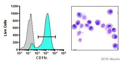 Flow Cytometry - Anti-CD11c antibody [N418] - BSA and Azide free (AB233173)