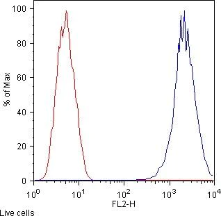 Flow Cytometry - Anti-CD13 antibody [WM15] (AB7417)