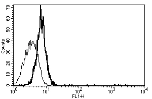 Flow Cytometry - Anti-CD130 (gp130) antibody [B-P8] - BSA and Azide free (AB27355)