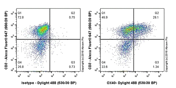 Flow Cytometry - Anti-CD134 / OX40L receptor antibody [EPR17Y] (AB76000)