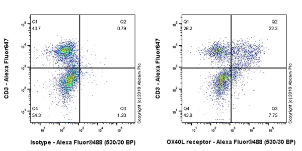 Flow Cytometry (Intracellular) - Anti-CD134 / OX40L receptor antibody [EPR23000-42] - BSA and Azide free (AB264470)