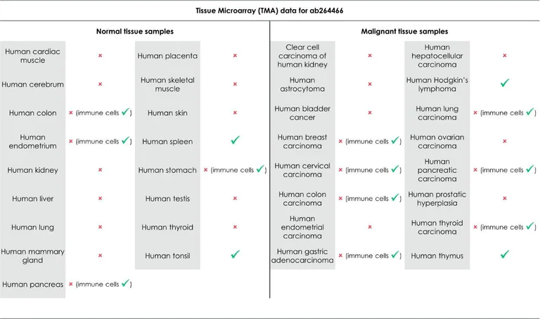 Immunohistochemistry (Formalin/PFA-fixed paraffin-embedded sections) - Anti-CD134 / OX40L receptor antibody [EPR23000-42] - BSA and Azide free (AB264470)