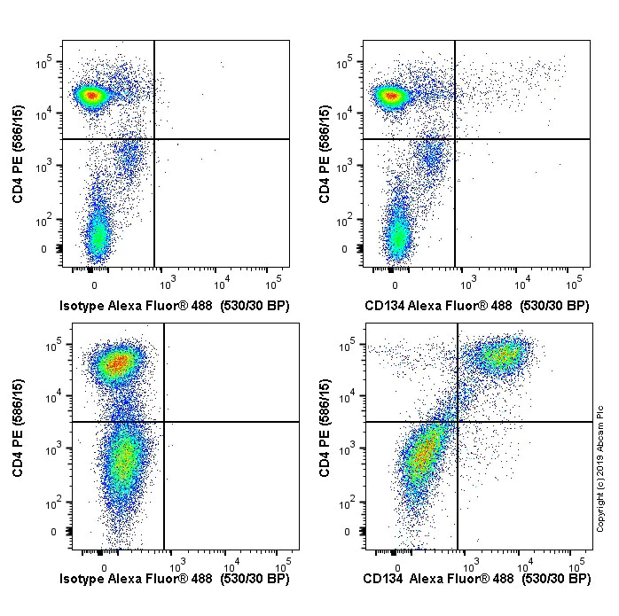 Flow Cytometry - Anti-CD134 / OX40L receptor antibody [OX40] - BSA and Azide free (AB244589)
