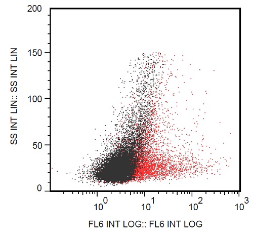 Flow Cytometry - Anti-CD137 antibody [4B4-1] - Low endotoxin, Azide free (AB234169)