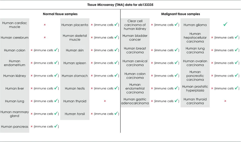 Immunohistochemistry (Formalin/PFA-fixed paraffin-embedded sections) - Anti-CD14 antibody [EPR3653] (AB133335)