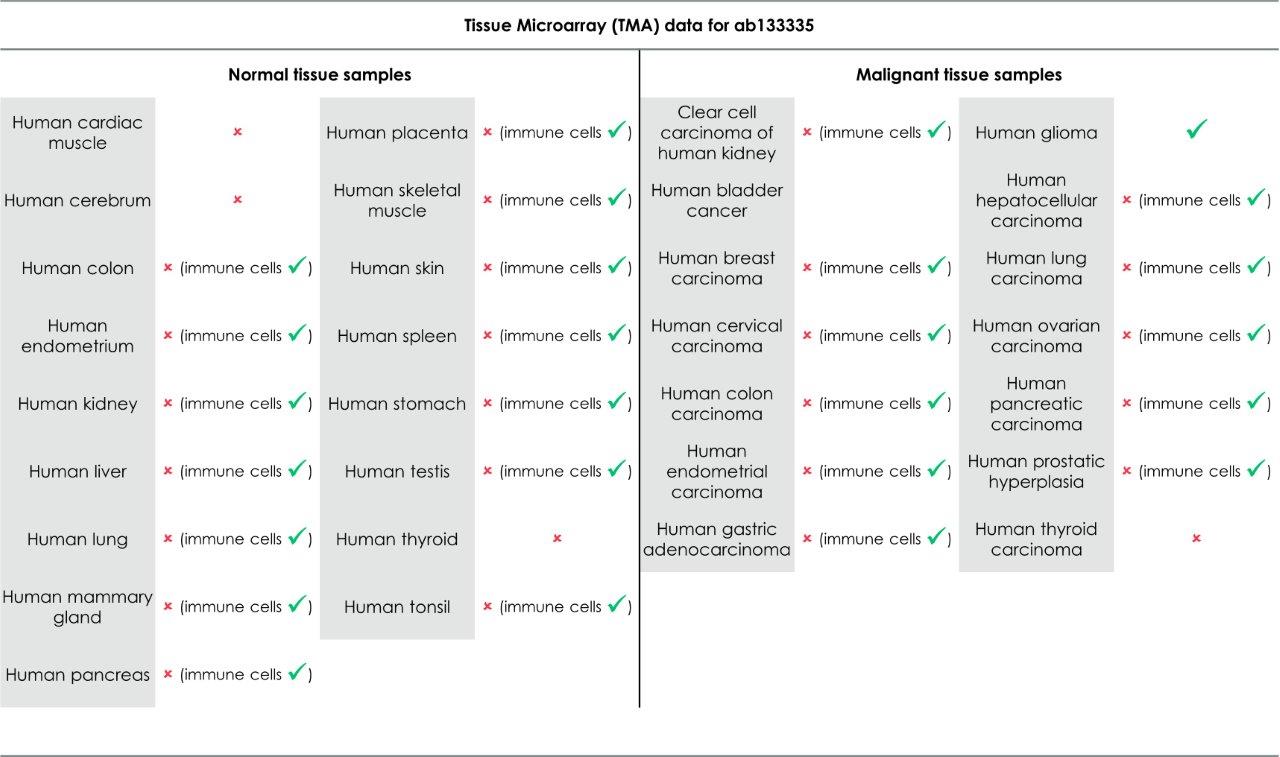 Immunohistochemistry (Formalin/PFA-fixed paraffin-embedded sections) - Anti-CD14 antibody [EPR3653] - Low endotoxin, Azide free (AB214438)