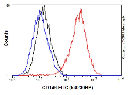 Flow Cytometry (Intracellular) - Anti-CD146 antibody [EPR3208] - BSA and Azide free (AB210072)