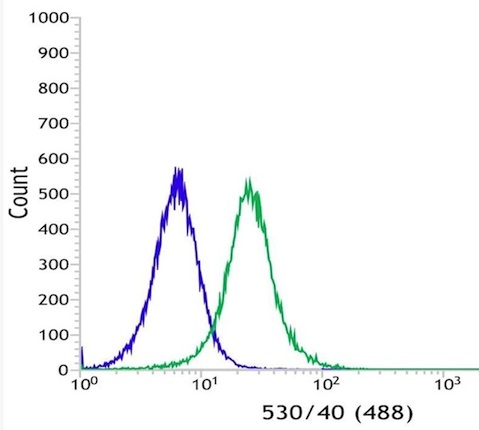 Flow Cytometry - Anti-CD16 antibody [SP175] - BSA and Azide free (AB243925), expandable thumbnail