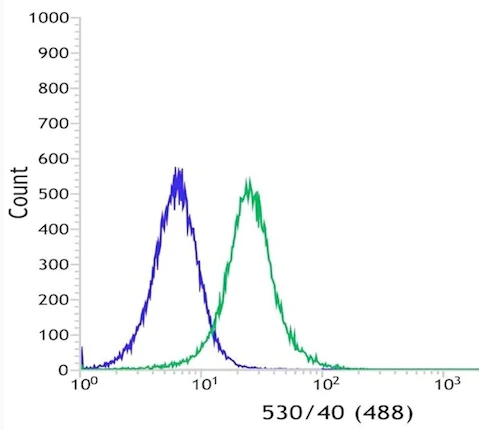 Flow Cytometry - Anti-CD16 antibody [SP175] - BSA and Azide free (AB243925)