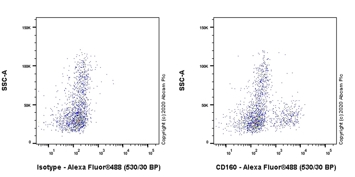 Flow Cytometry - Anti-CD160 antibody [EPR23644-24] - BSA and Azide free (AB274380), expandable thumbnail