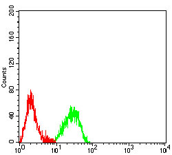 Flow Cytometry - Anti-CD161 antibody [4C6A11] (AB233785)