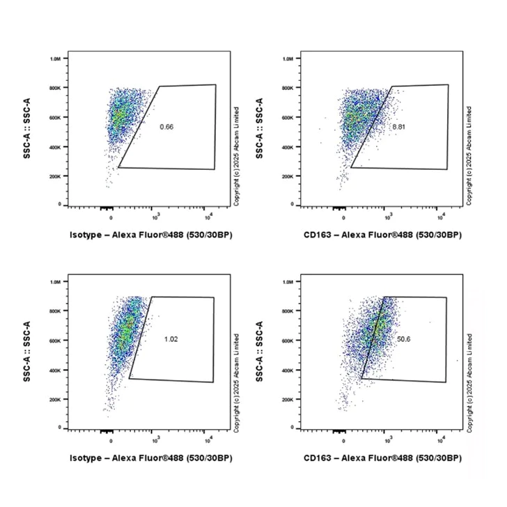 Flow Cytometry - Anti-CD163 antibody [EPR19518] - BSA and Azide free (AB213612)