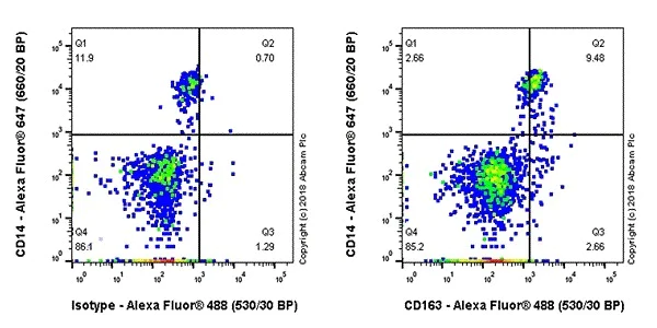 Flow Cytometry - Anti-CD163 antibody [EPR19518] - BSA and Azide free (AB213612)