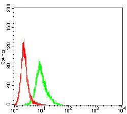 Flow Cytometry - Anti-CD166 antibody [3D9F1] (AB233750)