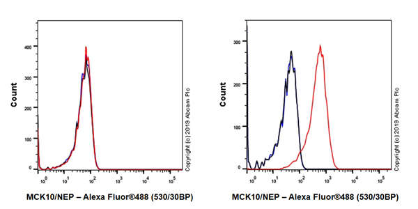 Flow Cytometry - Anti-CD167a/DDR1 antibody [EPR22316-508] - BSA and Azide free (AB261728)