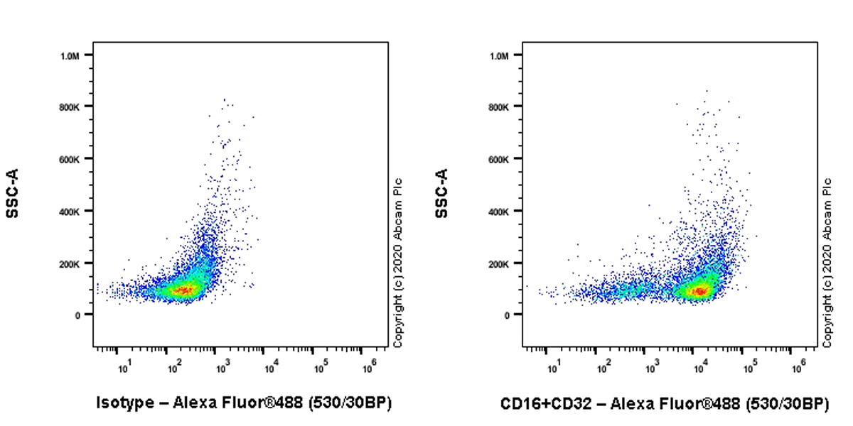 Flow Cytometry - Anti-CD16+CD32 antibody [EPR23501-203] (AB223200), expandable thumbnail