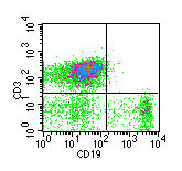 Flow Cytometry - Anti-CD19 antibody [1D3] (AB86902), expandable thumbnail