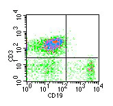 Flow Cytometry - Anti-CD19 antibody [1D3] (AB86902)