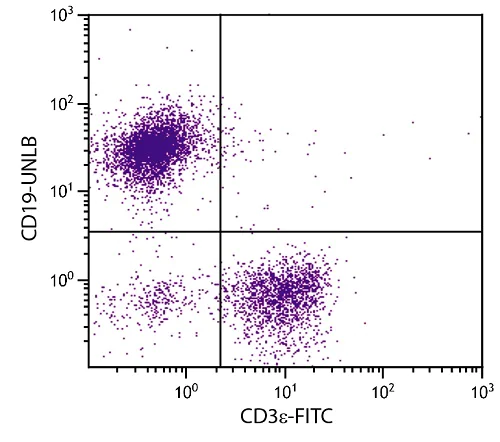 Anti-CD19 antibody [6D5] (ab25232) | Abcam