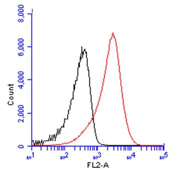 Flow Cytometry - Anti-CD19 antibody (AB227019)