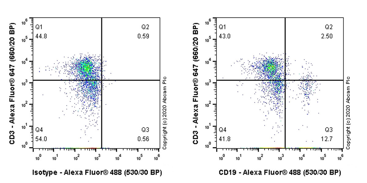 Flow Cytometry - Anti-CD19 antibody [BU12] (AB254170), expandable thumbnail