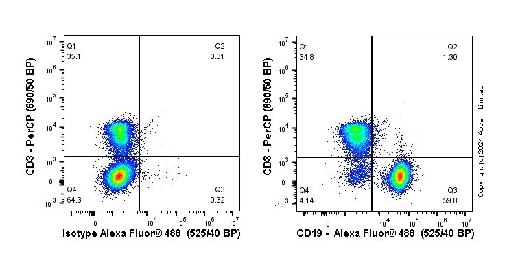 Flow Cytometry - Anti-CD19 antibody [EPR23174-145] (AB245235)