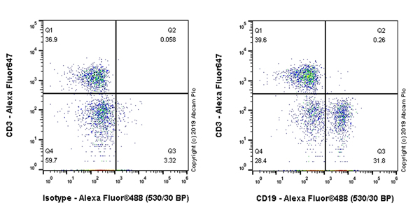 Flow Cytometry - Anti-CD19 antibody [EPR23174-145] - BSA and Azide free (AB267394)