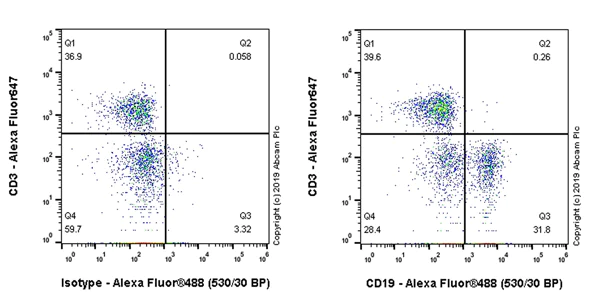 Flow Cytometry - Anti-CD19 antibody [EPR23174-145] - BSA and Azide free (AB267394)