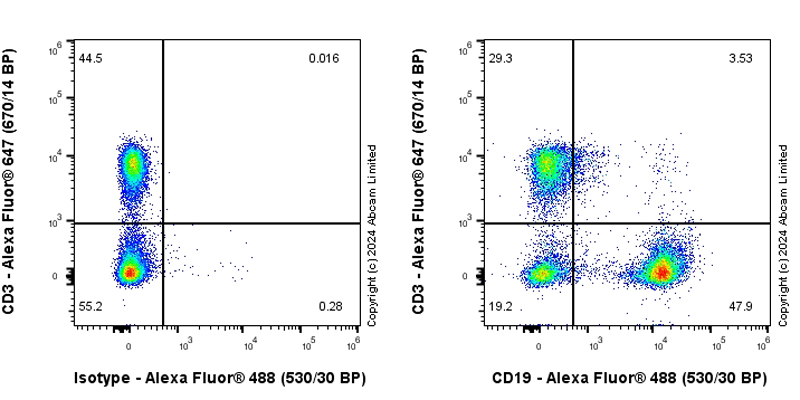 Flow Cytometry - Anti-CD19 antibody [RM2072] (AB322345), expandable thumbnail