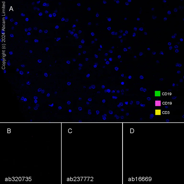 Multiplex immunohistochemistry - Anti-CD19 antibody [SP291] - BSA and Azide free (AB237772)