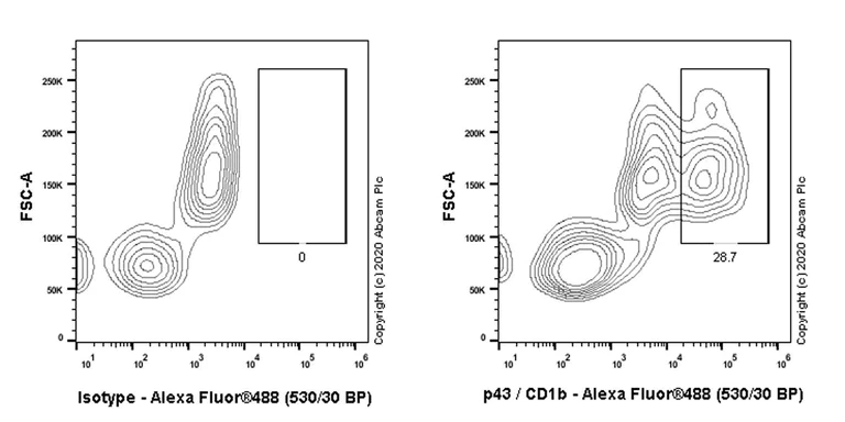 Flow Cytometry - Anti-CD1b antibody [WM25] (AB78220)