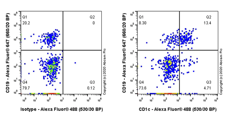 Flow Cytometry - Anti-CD1c antibody [EPR23189-305] (AB273049)