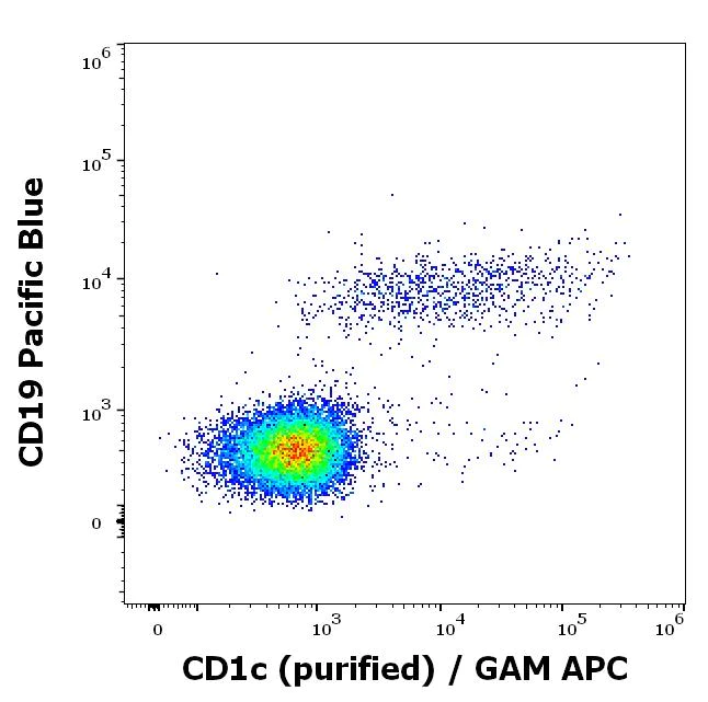 Flow Cytometry - Anti-CD1c antibody [L161] (AB190305)