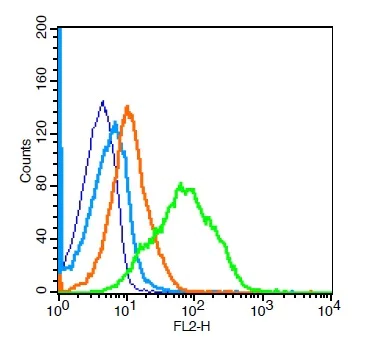 Flow Cytometry (Intracellular) - Anti-CD1d antibody (AB215445)