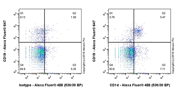 Flow Cytometry - Anti-CD1d antibody [EPR22526-9] - BSA and Azide free (AB256357), expandable thumbnail