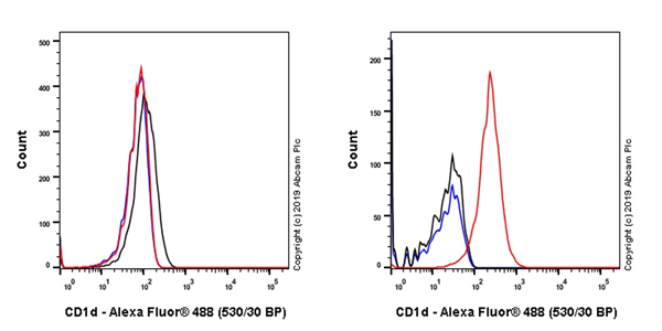 Flow Cytometry - Anti-CD1d antibody [EPR22526-9] - BSA and Azide free (AB256357), expandable thumbnail
