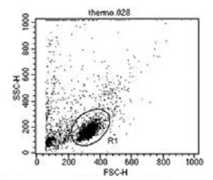 Flow Cytometry - Anti-CD2 antibody [TS218] - BSA and Azide free (AB175287), expandable thumbnail