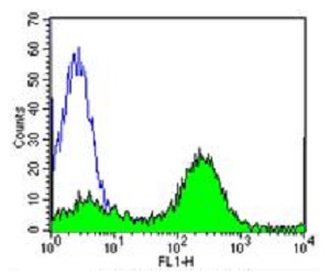 Flow Cytometry - Anti-CD2 antibody [TS218] - BSA and Azide free (AB175287), expandable thumbnail