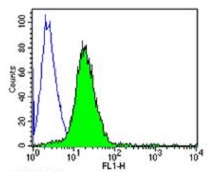 Flow Cytometry - Anti-CD2 antibody [TS218] - BSA and Azide free (AB175287), expandable thumbnail