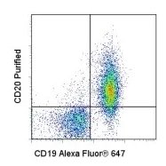 Flow Cytometry - Anti-CD20 antibody [AISB12] - Low endotoxin, Azide free (AB171203)